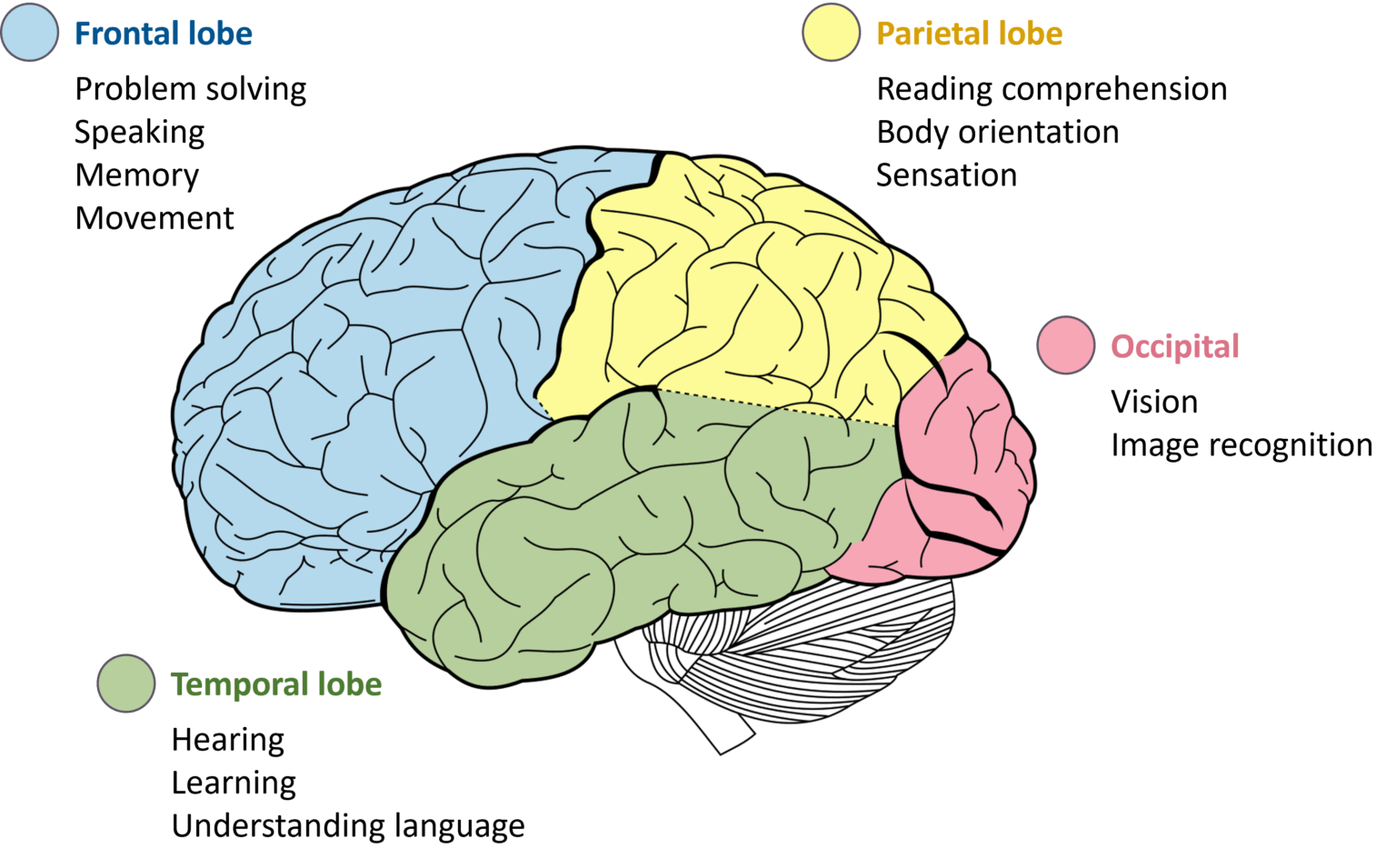 SEQUEL (COG0202) – Cognition Therapeutics, Inc.